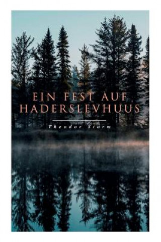 Книга Fest auf Haderslevhuus Theodor Storm