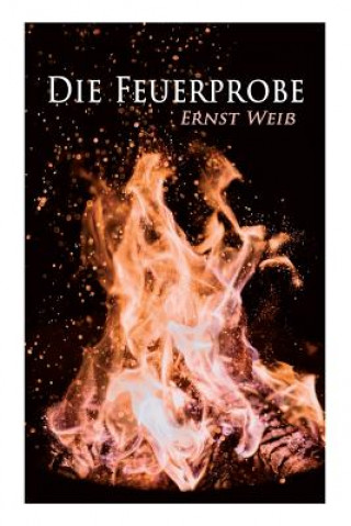 Book Feuerprobe Ernst Wei