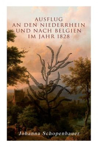 Carte Ausflug an den Niederrhein und nach Belgien im Jahr 1828 Johanna Schopenhauer