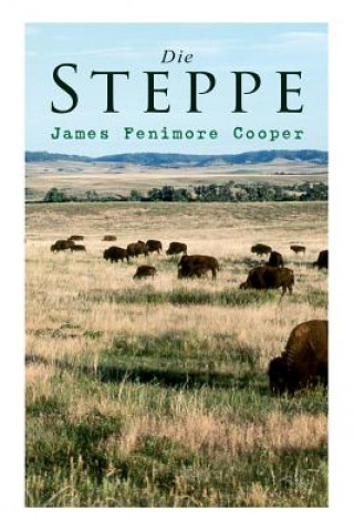 Kniha Die Steppe James Fenimore Cooper