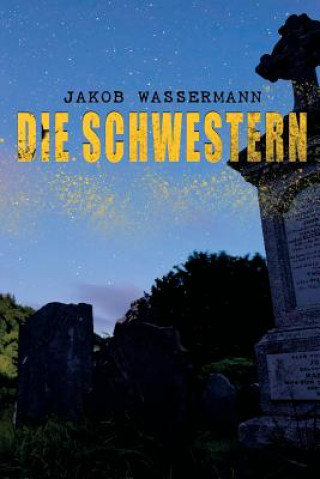 Buch Schwestern Jakob Wassermann