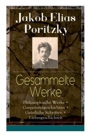 Kniha Gesammelte Werke Jakob Elias Poritzky