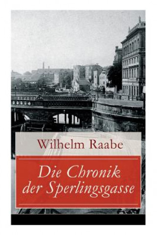 Kniha Chronik der Sperlingsgasse Wilhelm Raabe