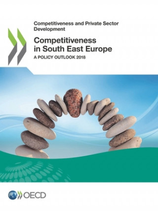 Книга Competitiveness in south east Europe Oecd