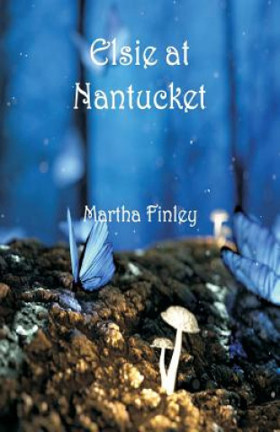 Kniha Elsie at Nantucket Martha Finley