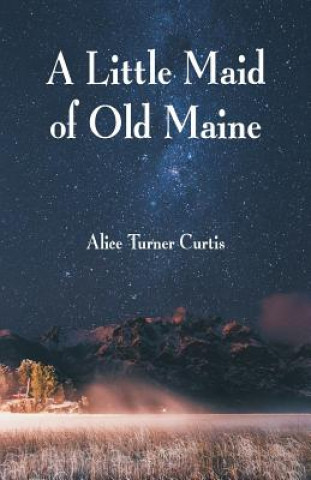 Kniha Little Maid of Old Maine Alice Turner Curtis