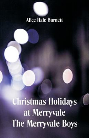 Buch Christmas Holidays at Merryvale The Merryvale Boys Alice Hale Burnett