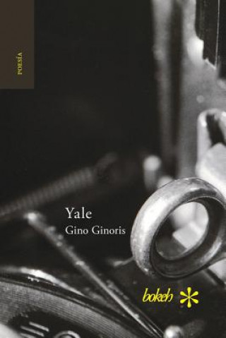 Book Yale Gino Ginoris