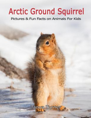Knjiga Arctic Ground Squirrel: Pictures and Fun Facts on Animals for Kids Tanya Turner
