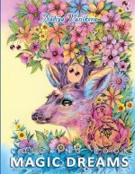 Könyv Magic Dreams Coloring Book Nadiya Vasilkova