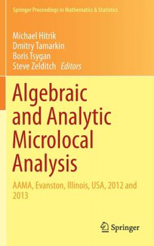 Книга Algebraic and Analytic Microlocal Analysis Dmitry Tamarkin
