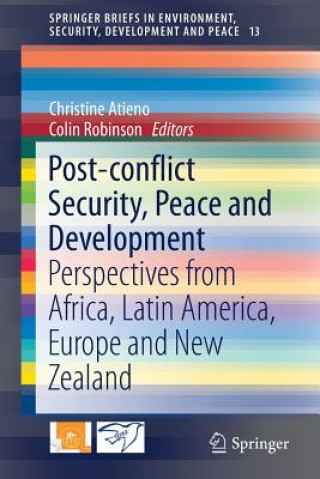 Kniha Post-conflict Security, Peace and Development Christine Atieno