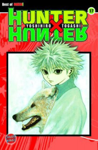 Kniha Hunter X Hunter 17 Yoshihiro Togashi
