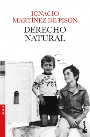 Kniha Derecho natural Ignacio Martinez de Pison