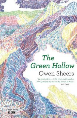 Książka Green Hollow Owen Sheers