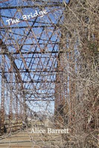 Book The Bridge Alice Barrett