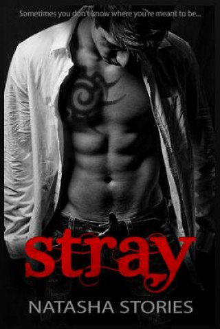 Knjiga Stray Natasha Stories