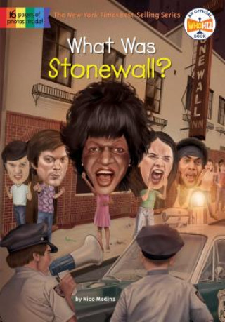 Kniha What Was Stonewall? Nico Medina