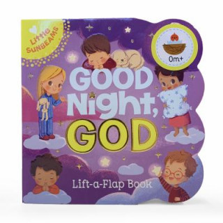 Book Good Night, God Scarlett Wing