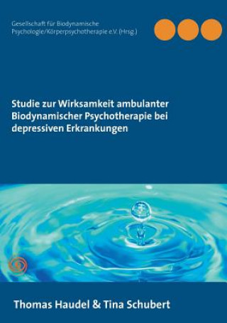 Könyv Studie zur Wirksamkeit ambulanter Biodynamischer Psychotherapie bei depressiven Erkrankungen Thomas Haudel