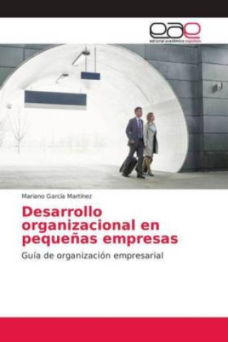 Kniha Desarrollo organizacional en pequenas empresas Mariano García Martínez