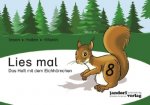 Knjiga Lies mal 8 - Das Heft mit dem Eichhörnchen Anja Wachendorf