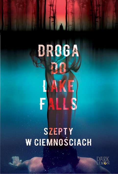 Knjiga Droga do Lake Falls Dormann Artur K.
