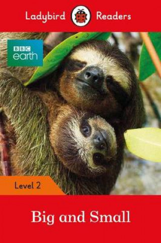 Knjiga Ladybird Readers Level 2 - BBC Earth - Big and Small (ELT Graded Reader) Ladybird