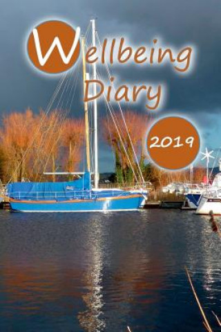Kniha Wellbeing Diary 2019 Mary Turner