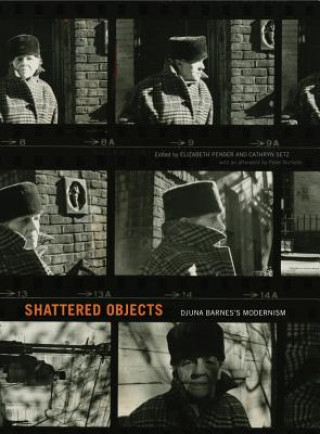 Knjiga Shattered Objects Elizabeth Pender