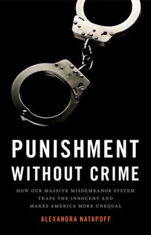 Book Punishment Without Crime Alexandra Natapoff