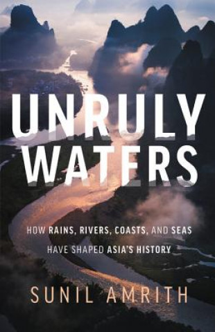 Kniha Unruly Waters Sunil Amrith