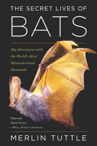 Książka Secret Lives of Bats MERLIN TUTTLE