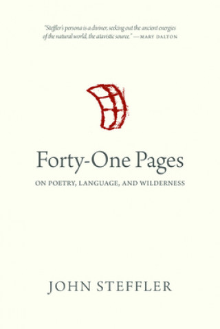 Книга Forty-One Pages John Steffler