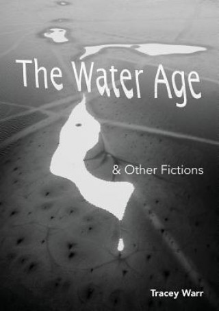 Kniha Water Age & Other Fictions Tracey Warr