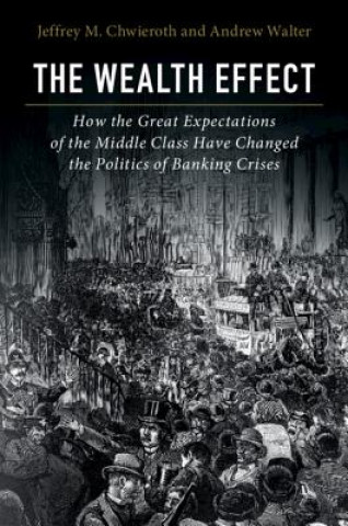 Knjiga Wealth Effect Jeffrey M. Chwieroth