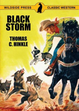 Książka Black Storm Thomas C Hinkle