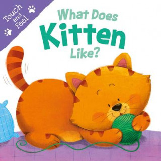 Książka What Does Kitten Like: Touch & Feel Board Book Igloobooks