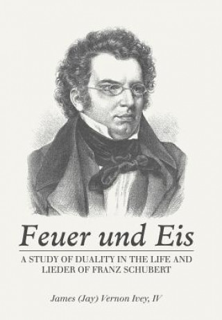 Boek Feuer Und Eis Ivey  James Vernon  IV