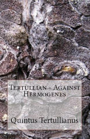 Книга Against Hermogenes Tertullian