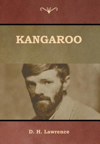 Knjiga Kangaroo D H Lawrence