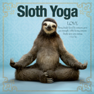 Carte Sloth Yoga Willow Creek Press