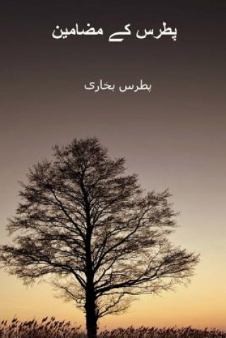 Kniha Patras Kay Mazameen ( Urdu Edition ) Patras Bokhari