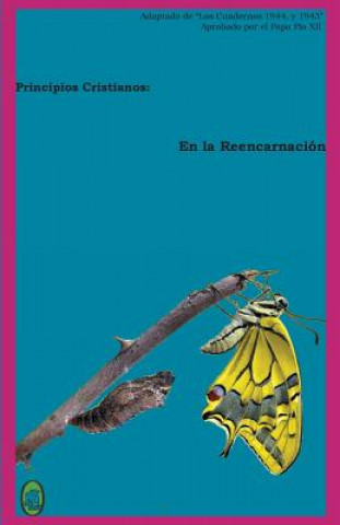 Libro En la Reencarnación Lamb Books