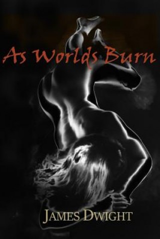 Kniha As Worlds Burn: A Tawdry Tale Of Spiritual Healing James Dwight