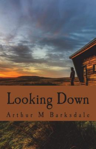 Knjiga Looking Down Arthur M Barksdale