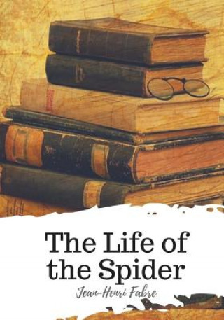 Książka The Life of the Spider Jean-Henri Fabre