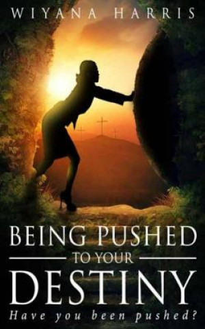 Knjiga Being Pushed to Your Destiny Wiyana Harris