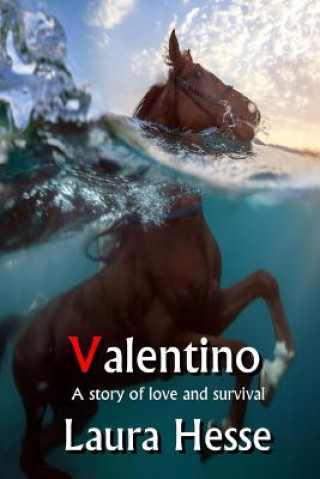 Buch Valentino Laura Hesse