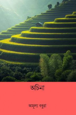 Könyv Achina ( Assamese Edition ) Amulya Barua